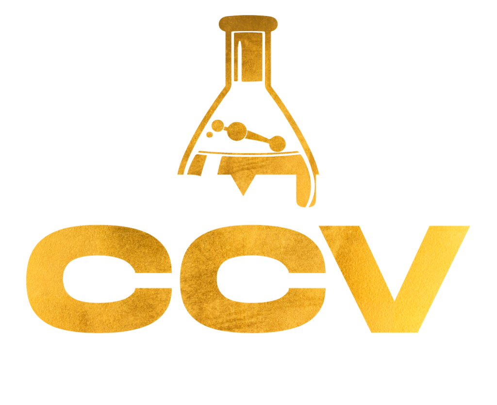 Fórmula CCV, de la idea a las ventasErickDanielMi pasión es inspirar a los demás con acciones positivas.