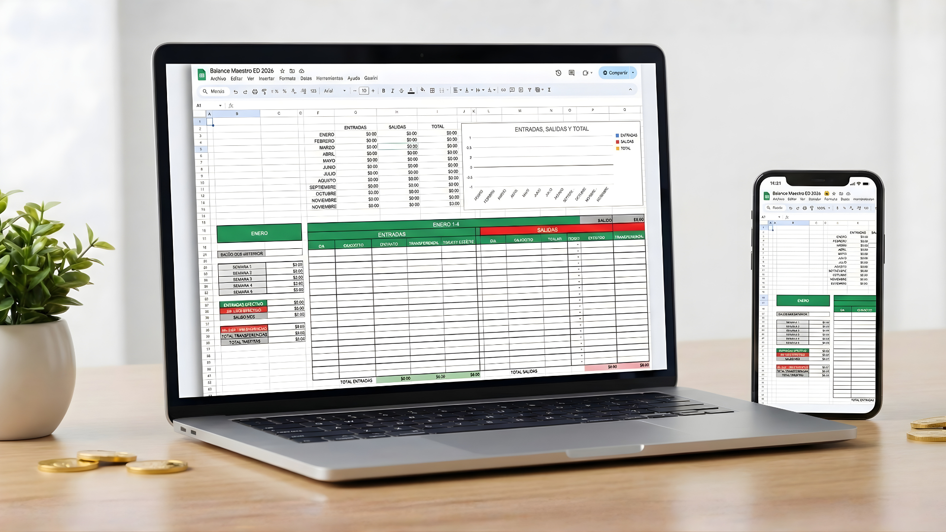 Gestión Contable Balance Maestro